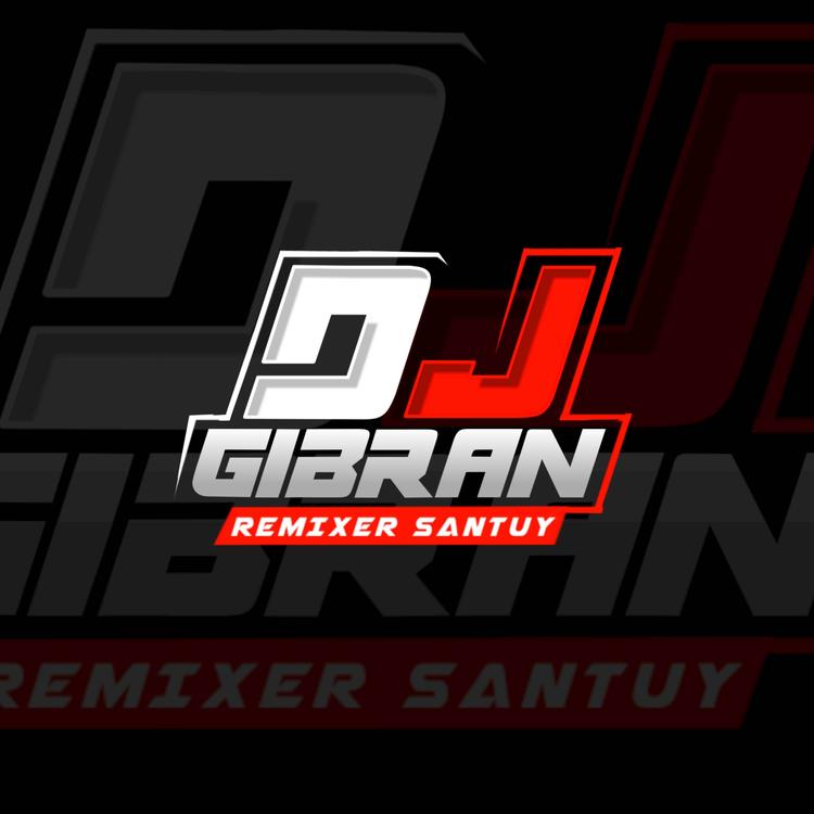 DJ gibran RemiX's avatar image