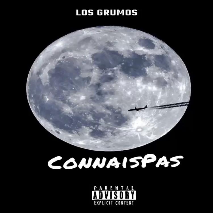 Los Grumos's avatar image