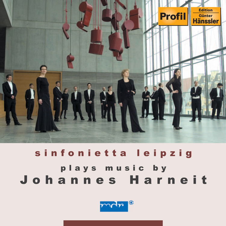 Leipzig Sinfonietta's avatar image