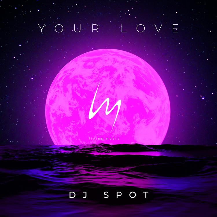 DJ Spot's avatar image