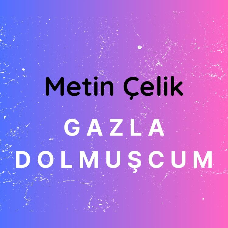 Metin Çelik's avatar image