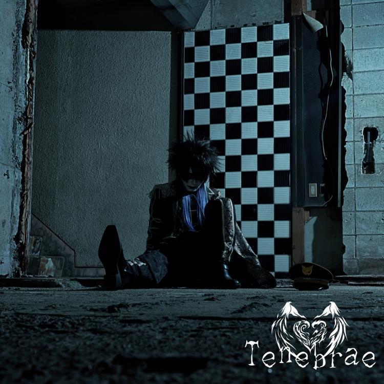 Tenebrae's avatar image