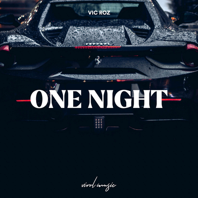 One Night By Vic Roz's cover