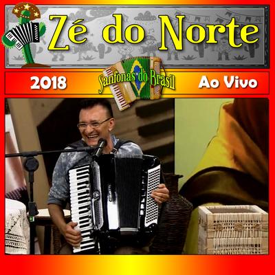 No Sanfonas do Brasil Ao Vivo 2018's cover