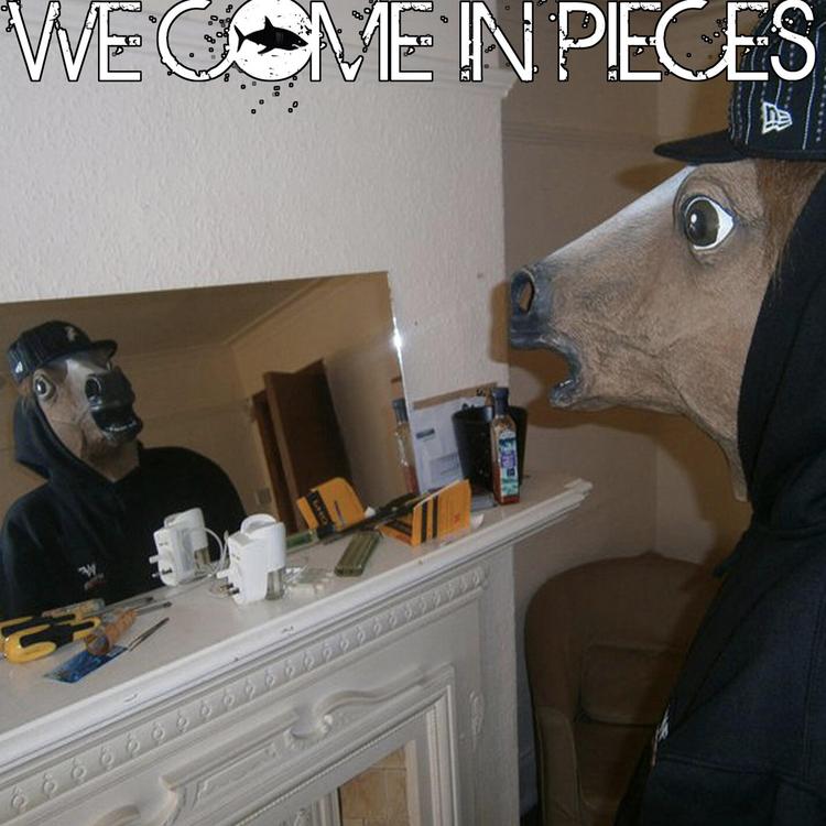 We Come In Pieces's avatar image