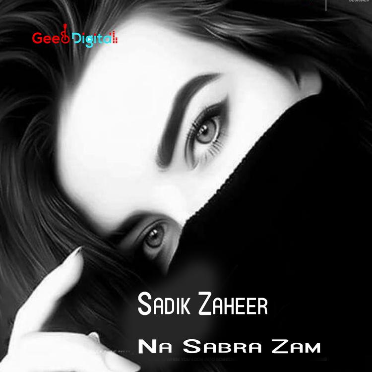 Sadik Zaheer's avatar image