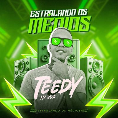 Blogueirinha Tik Tok By Teedy Na Voz's cover