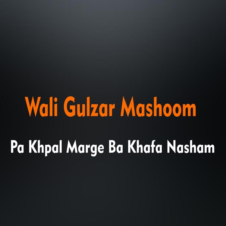 Wali Gulzar Mashoom's avatar image