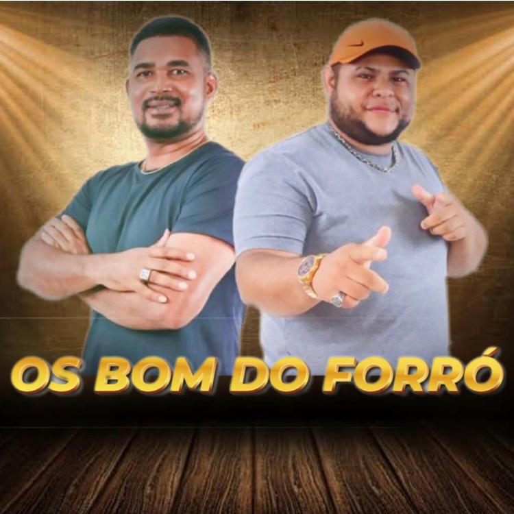 OS BOM DO FORRÓ's avatar image