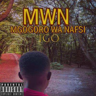 Mgogoro wa nafsi's cover