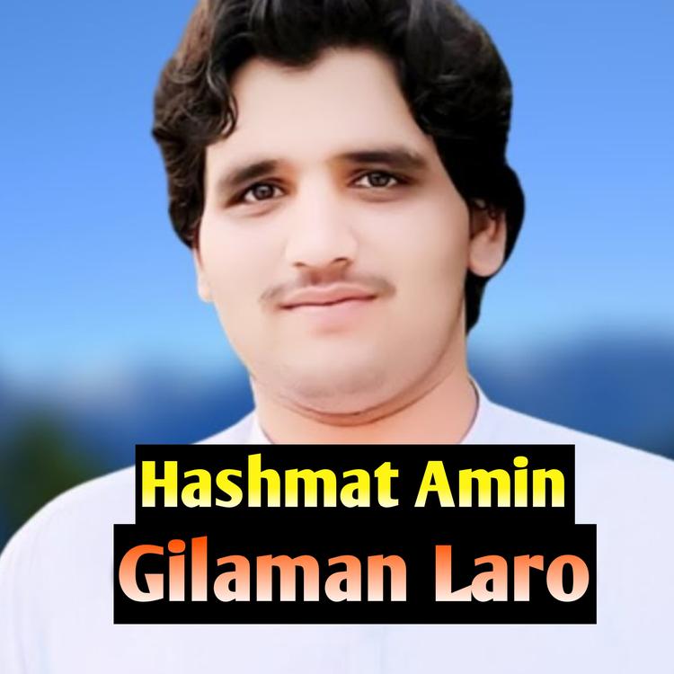 Hashmat Amin Marwat's avatar image