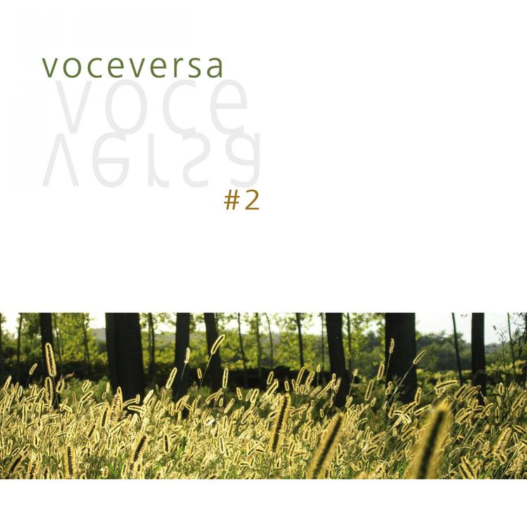 Voceversa's avatar image