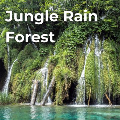 Garasia Rain Forest By Drifting Streams, Sounds of Nature, Nature Sounds Nature Music, Nature Therapy, Relaxing Nature, Drakir Nature's cover