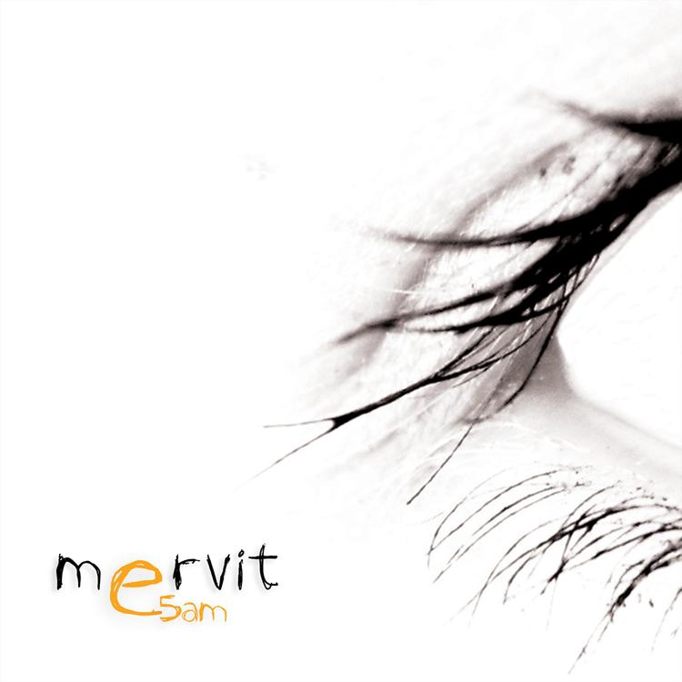 Mervit's avatar image