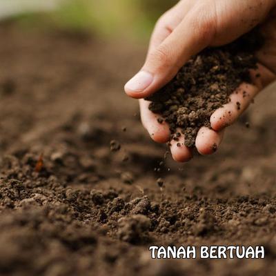 Tanah Bertuah's cover