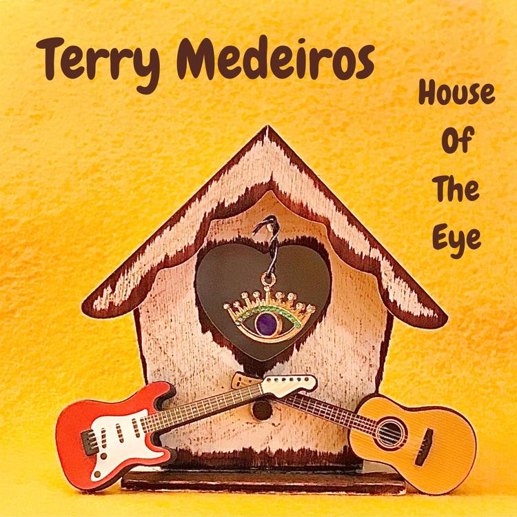 Terry Medeiros's avatar image