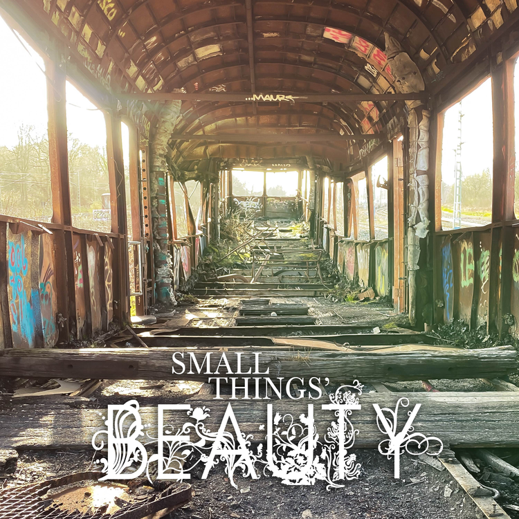 Small Things' Beauty's avatar image