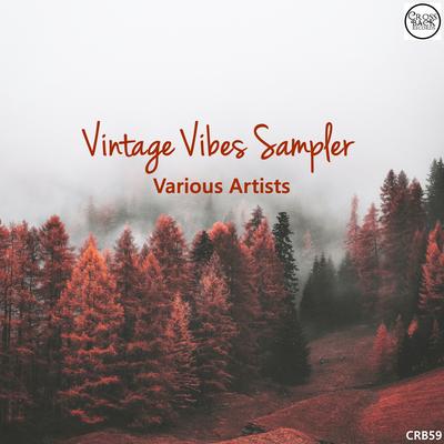 Vintage Vibes Sampler's cover