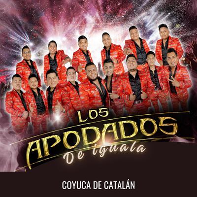 Coyuca de Catalán's cover