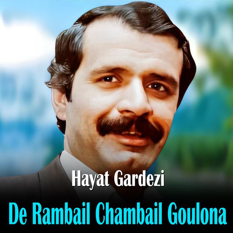 Hayat Gardezi's avatar image