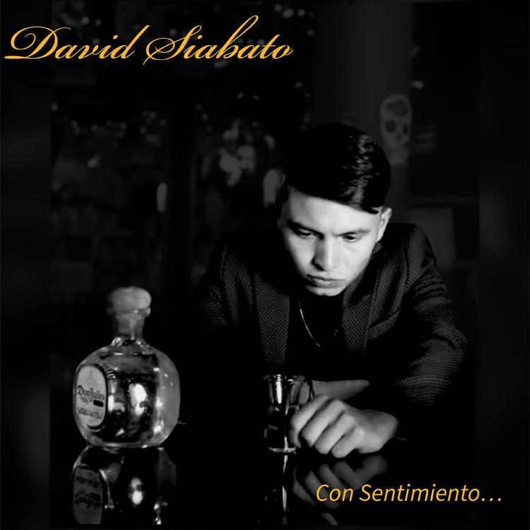 David Siabato's avatar image