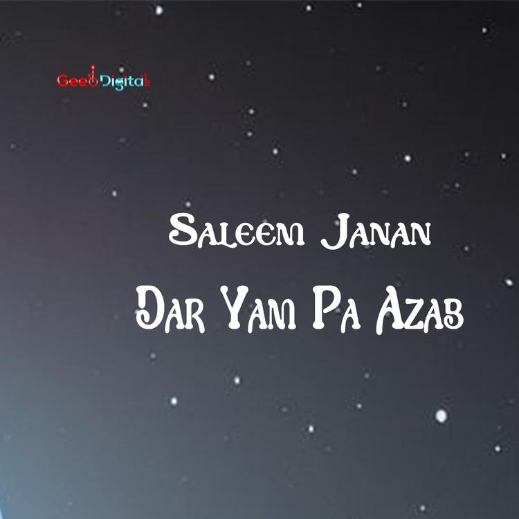 Saleem janan's avatar image