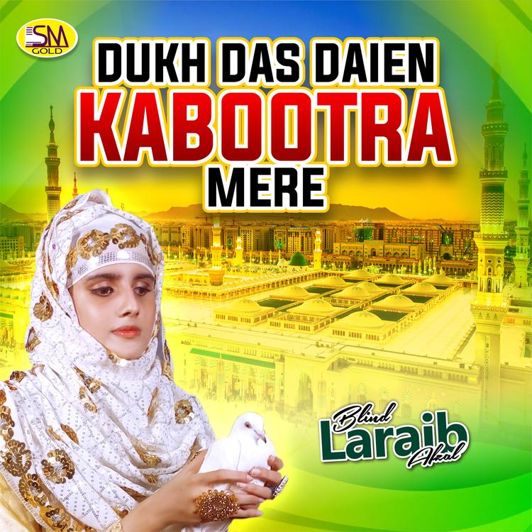 Laraib Afzal's avatar image