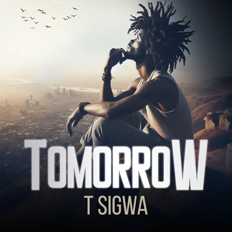 T Sigwa's avatar image