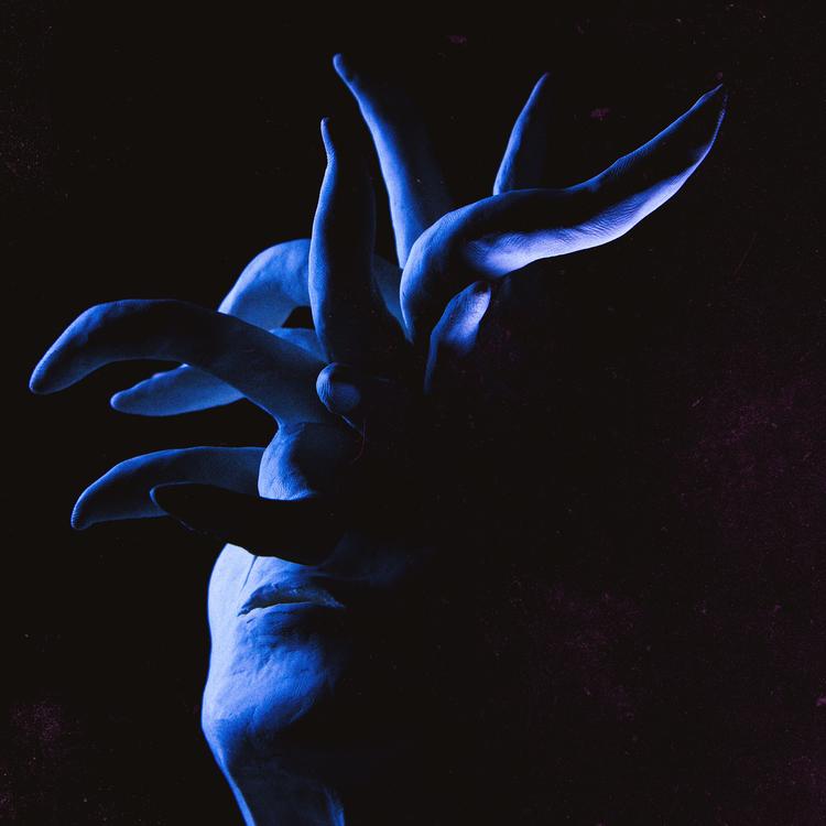 Ibex's avatar image