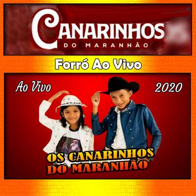Forró Ao Vivo - Maranhão 2020's cover