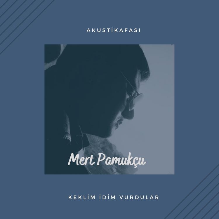 Mert Pamukçu's avatar image