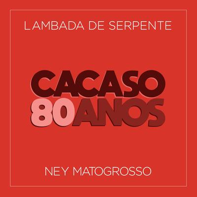 Lambada de Serpente By Ney Matogrosso's cover