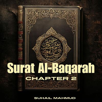 Surah Al-Baqarah 19's cover