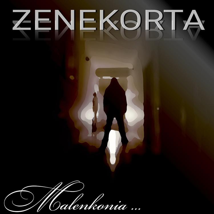 ZENEKORTA's avatar image