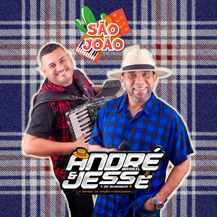 André Brasil e Jessé do Acordeon's avatar image