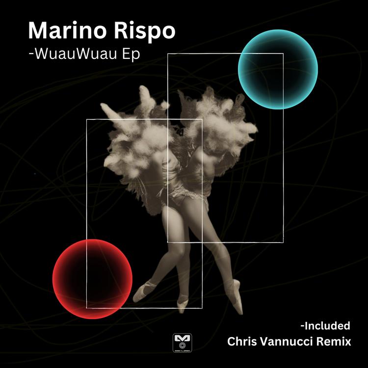 Marino Rispo's avatar image