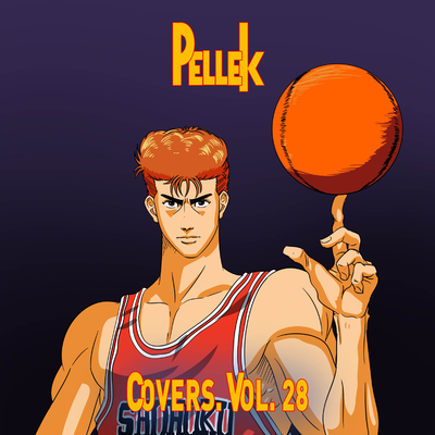 Covers, Vol. 28's cover