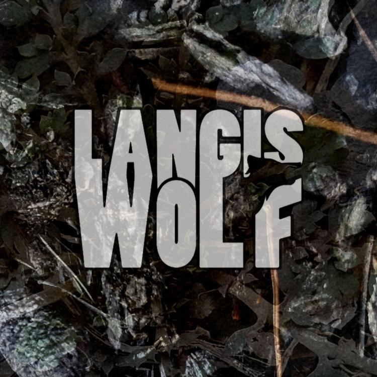 Langis Wolf's avatar image