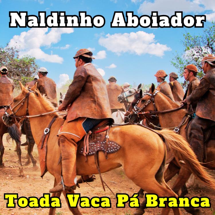 Naldinho Aboiador's avatar image