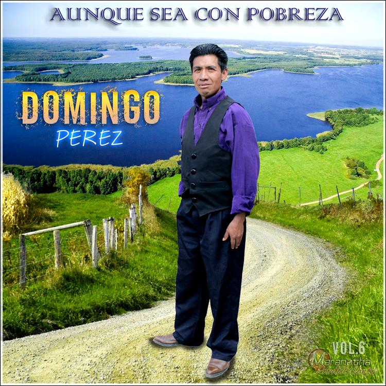 Domingo Perez's avatar image