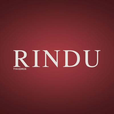 Rindu - Instrumental's cover