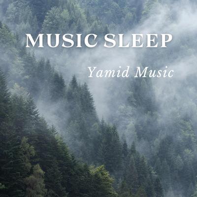 Music Sleep's cover