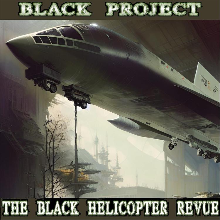 The Black Helicopter Revue's avatar image