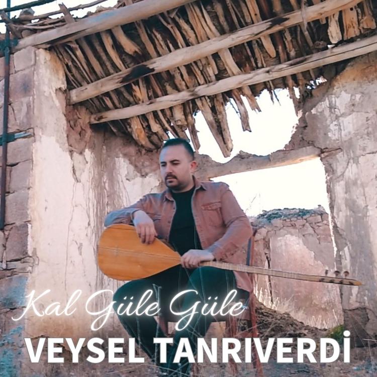 Veysel Tanrıverdi's avatar image