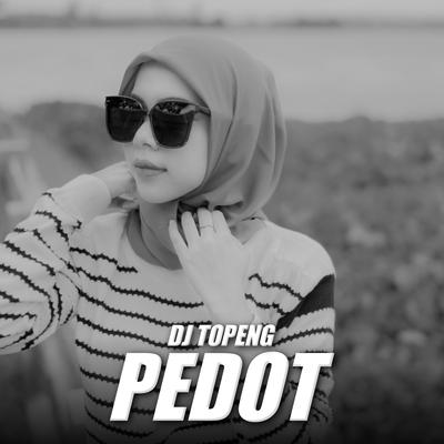 Pedot's cover