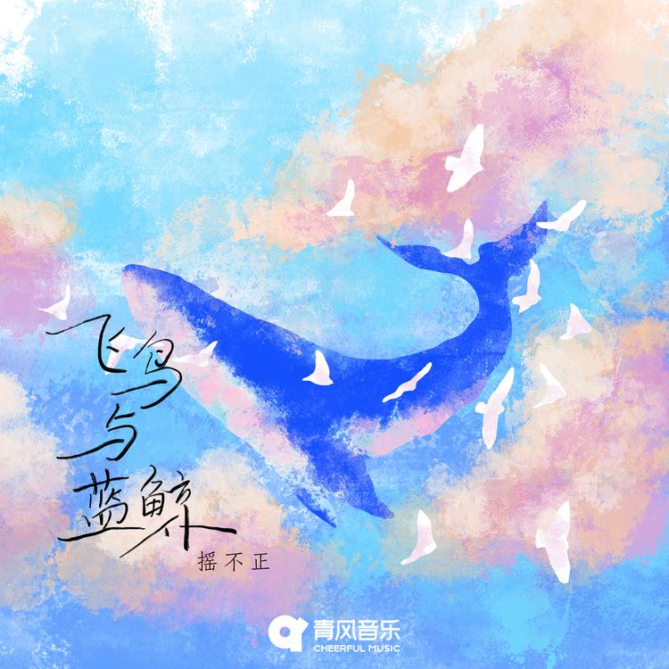 摇不正's avatar image