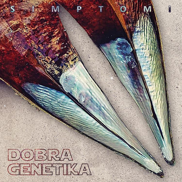 Dobra Genetika's avatar image