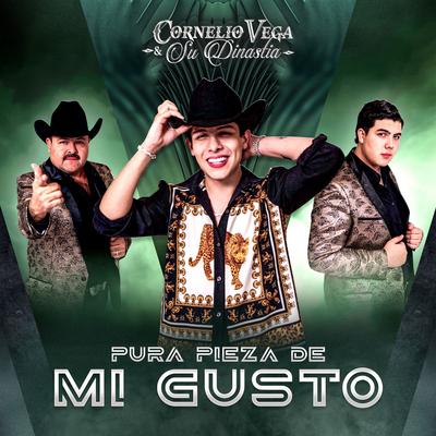 Pura Pieza de Mi Gusto's cover