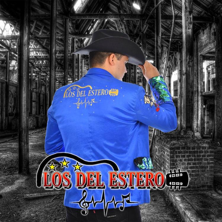 Los Del Estero's avatar image