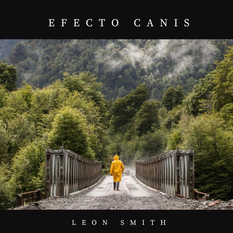 Leon Smith Music's avatar image